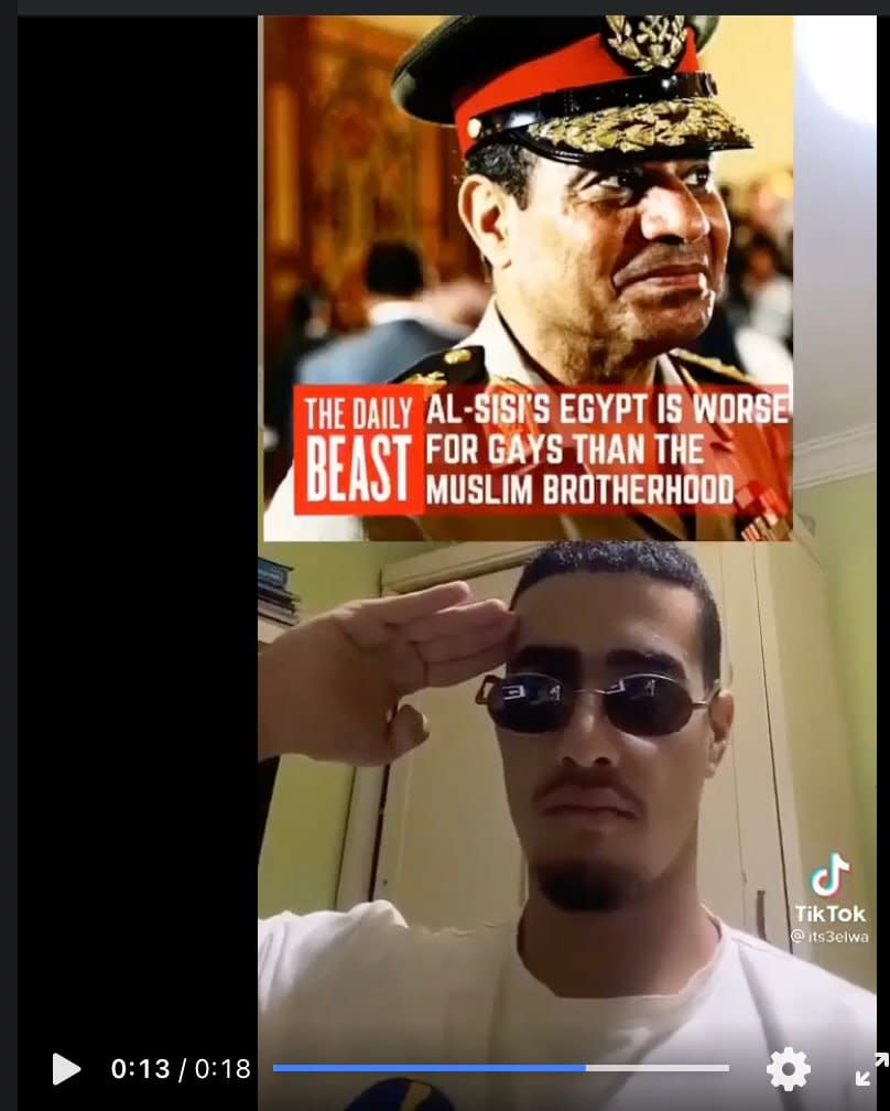 <div class="inline-image__caption"><p>This image was posted on one of the Nazi Facebook pages, but the original TikTok video shows a proud homophobe delighted to read at The Daily Beast that al-Sisi was a danger to the LGBTQ community. There is no evidence that the TikTok user himself is a Nazi.</p></div> <div class="inline-image__credit">Facebook</div>