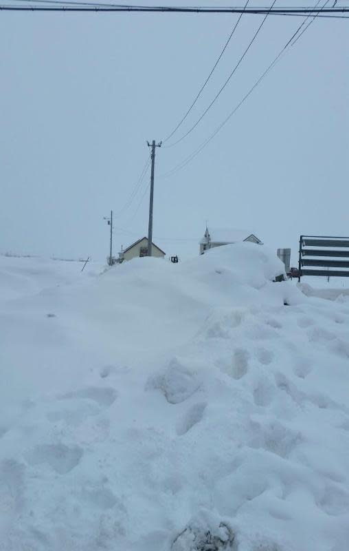 暴風雪吹襲北海道氣象廳籲萬人疏散港團未受影響