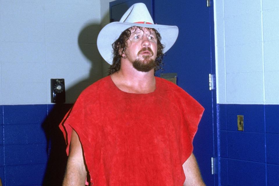 Terry Funk