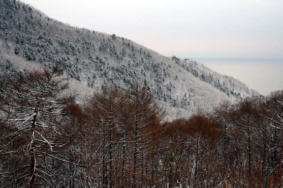 A fresh snow blankets Malinovii ("Raspberry") Pass on the edge of the Sikhote-Alin Reserve in Primorye, Russia. This reserve is the largest single protected area of Amur tigers in the world.