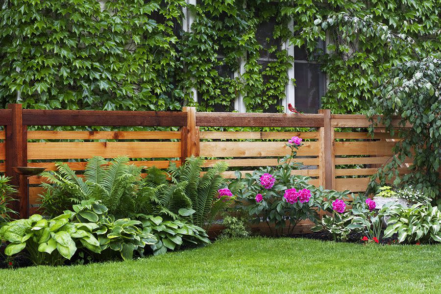 Modern Backyard Fence