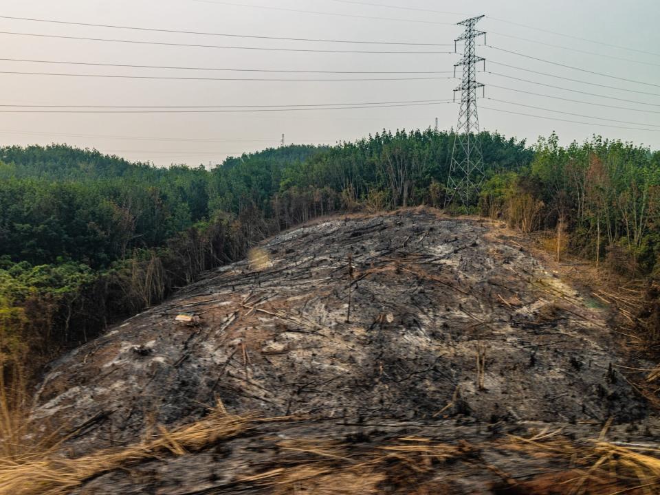 Slash and burn in the Laotian countryside.