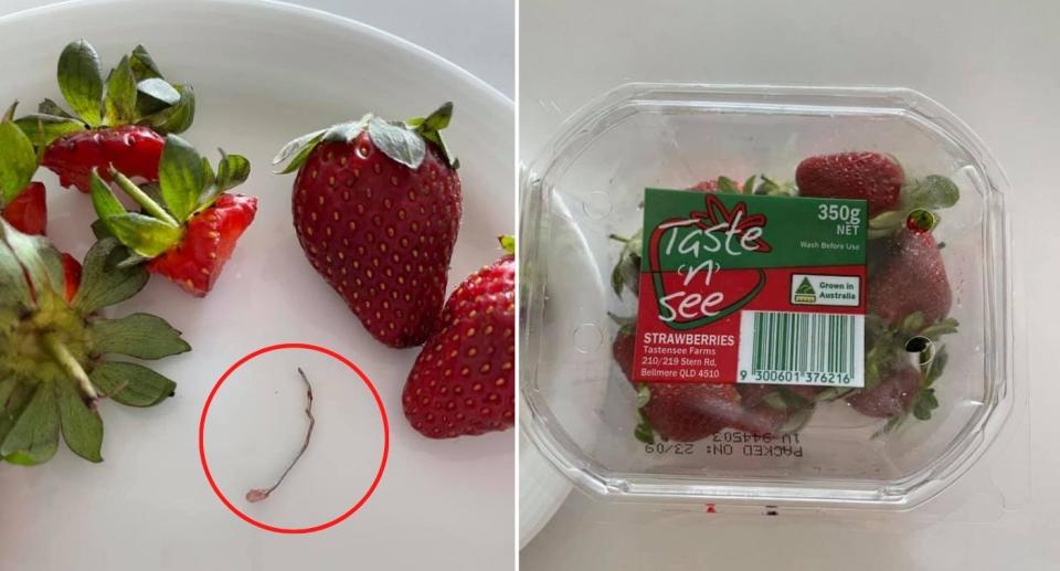 Strawberries with piece of wire found inside one of them. Source: Facebook