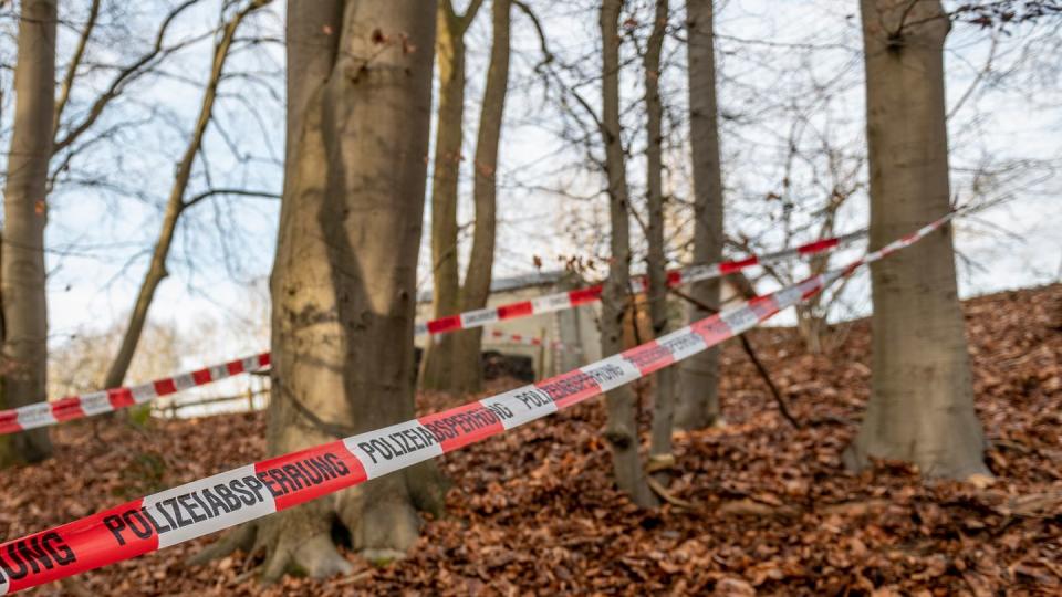 In diesem Wald bei Seevetal in Niedersachsen sind in einem Erddepot möglicherweise Hinterlassenschaften der linksterroristischen RAF gefunden worden.