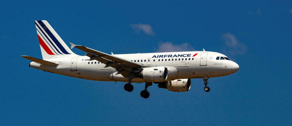 Un Airbus A319 d'Air France. (illustration)  - Credit:NICOLAS ECONOMOU / NurPhoto / NurPhoto via AFP