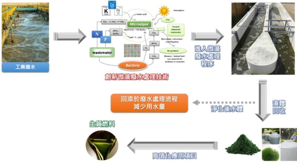 ▲創新微藻廢水處理技術。（圖／成功大學提供）