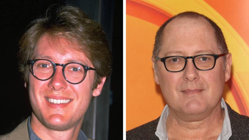 James Spader as Alan Shore (The Practice Cast)