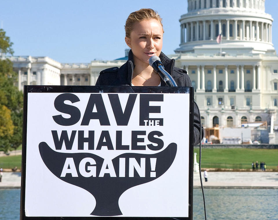 Panettiere Hayden Whale Protest