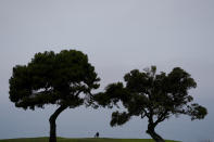 A marshal overlooks the Pacific Ocean from the fifth green during a practice round of the U.S. Open Golf Championship, Wednesday, June 16, 2021, at Torrey Pines Golf Course in San Diego. (AP Photo/Jae C. Hong)