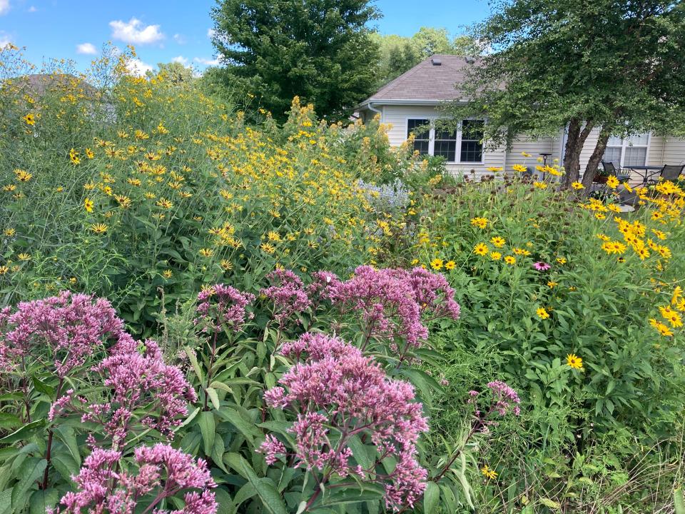 Red-tail Land Conservancy seeks individuals and organizations of east central Indiana who have naturally-landscaped yards to apply for Growing Home™ Habitat Certification before the submission deadline on July 31.