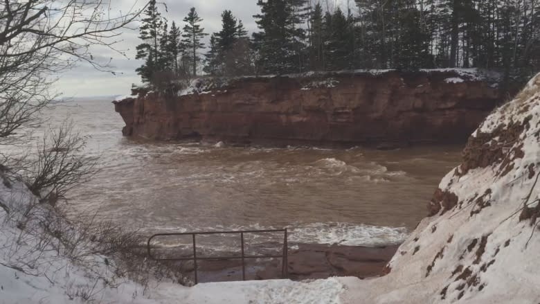 Hikers trapped by high tides airlifted to safety from Bay of Fundy