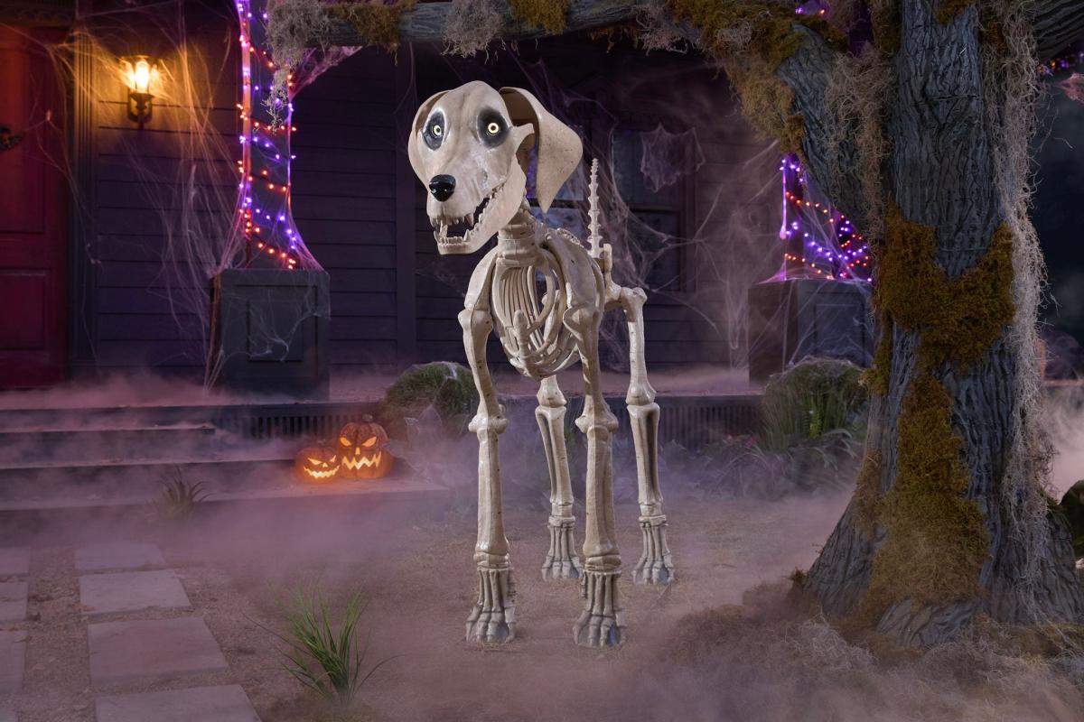 Halloween decoration shopping has shifted from the traditional specialty stores