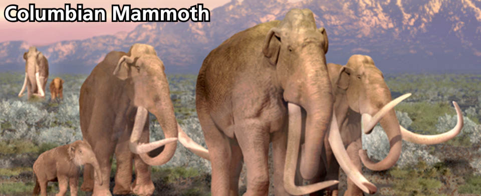 A computer illustration of what Columbian mammoths, like the one found off the coast of California in 2019, probably looked like.