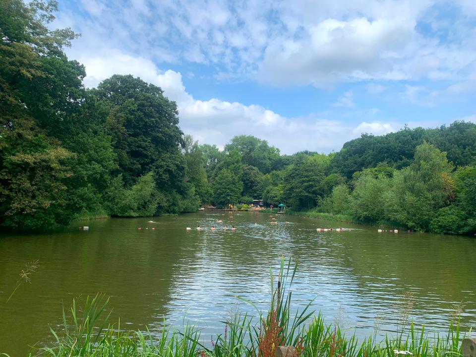 The mixed swimming pond in Hampstead.