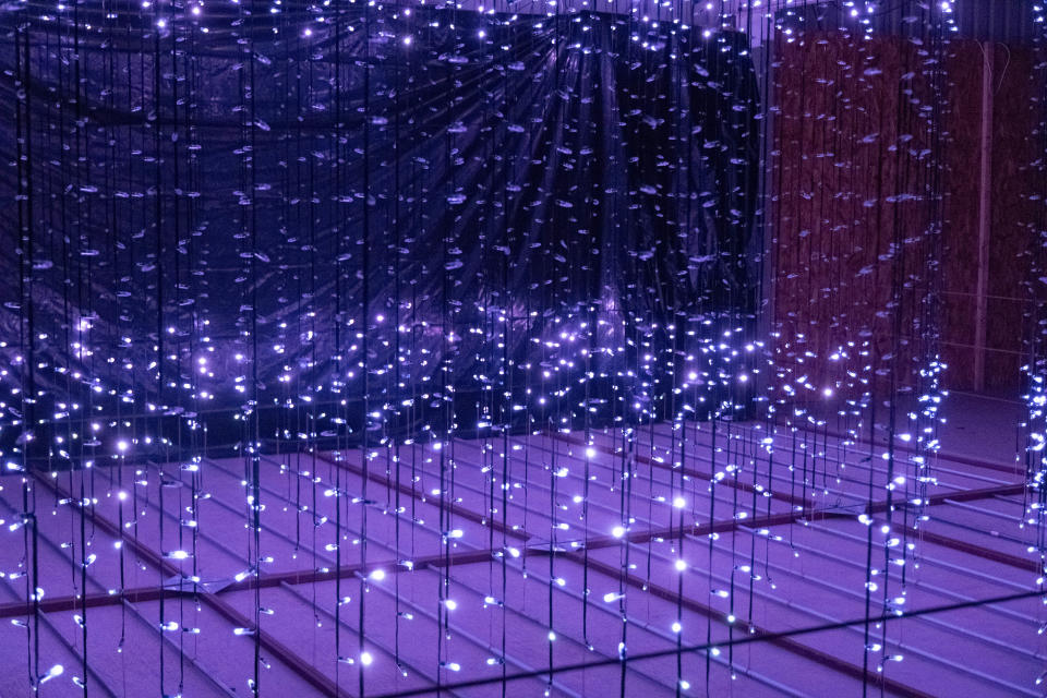 The Hanging Pixel Garden will feature 4,000 pixels with more than two hours of unique lighting patterns for the Tangled Lights show at the Starlight Ranch in Amarillo, now through Dec. 30.