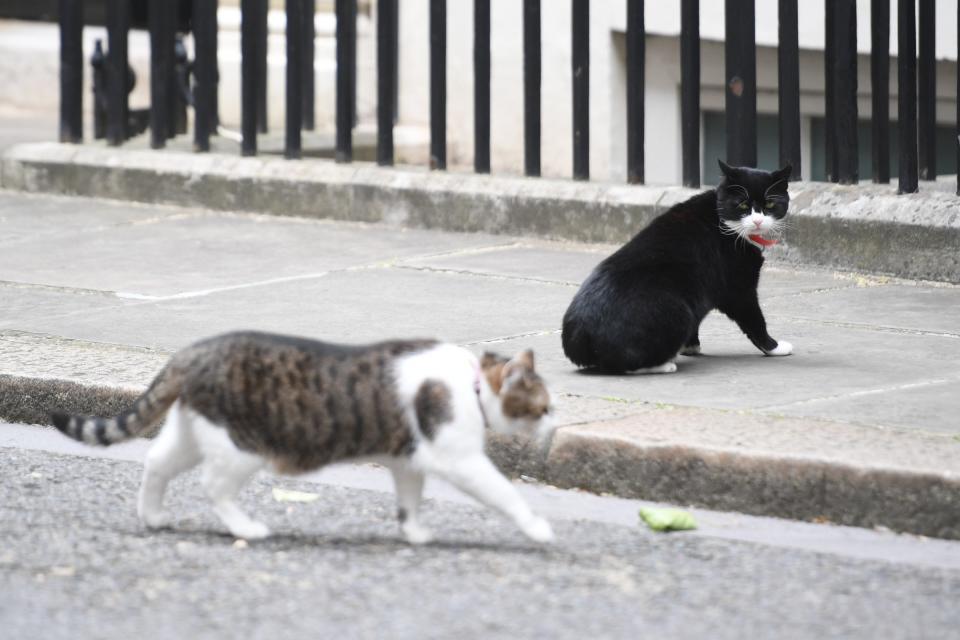 The pair were often seen together in Downing Street (PA )