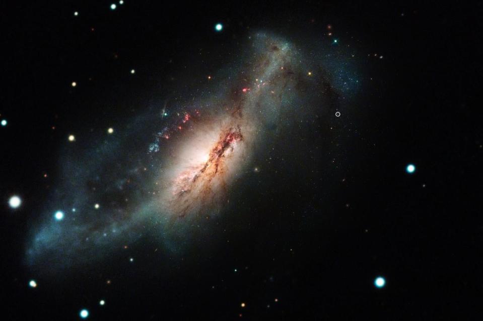 Las Cumbres Observatory and Hubble Space Telescope color composite of the electron-capture supernova 2018zd (the large white dot on the right) and the host starburst galaxy NGC 2146 (toward the left) (NASA/STScI/J. DePasquale; Las Cumbres Observatory)