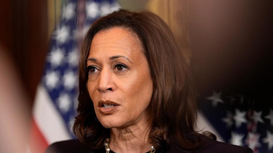 PHOTO: Vice President Kamala Harris speaks following a meeting with Israeli Prime Minister Benjamin Netanyahu at the Eisenhower Executive Office Building on the White House complex, July 25, 2024. (Julia Nikhinson/AP)