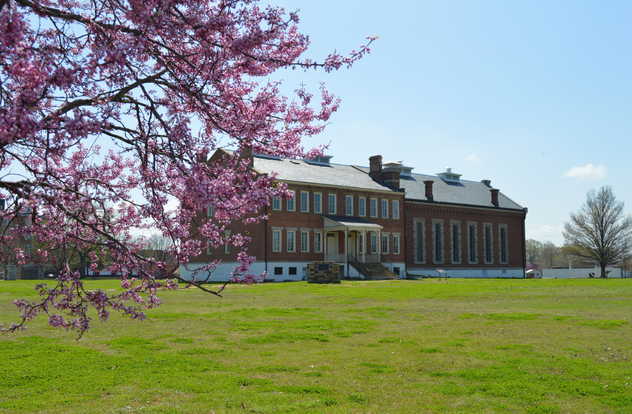 Visitor center of Fort Smith National Historic Site, Fort Smith, Arkansas, purple flowers on a tree in the left foreground, on a green grass lawn, a blue sky in the background, early spring