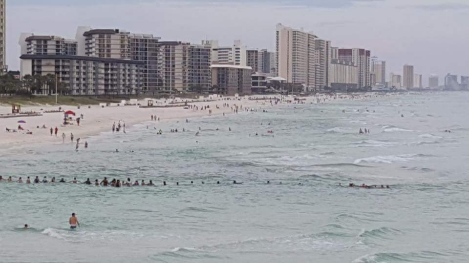Dozens of beachgoers at Panama City Beach form a human chain to rescue nine stranded swimmers in August 2022 (Roberta Ursrey)