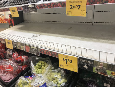 Empty shelves, normally stocked with strawberry punnets, are seen at a Coles Supermarket in Brisbane, Australia, September 14, 2018. AAP/Dan Peled/via REUTERS