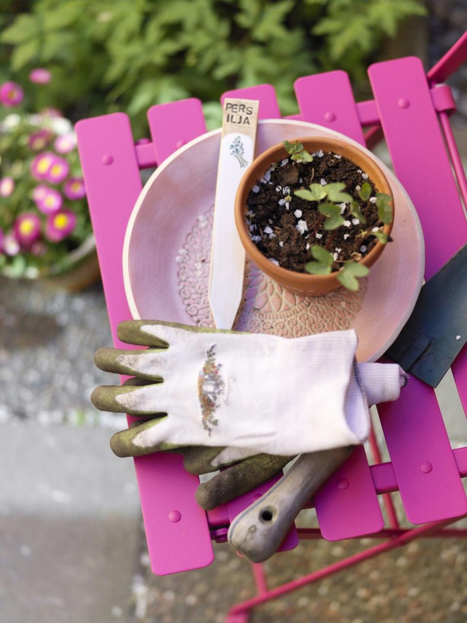 Ancient Gardening Gloves