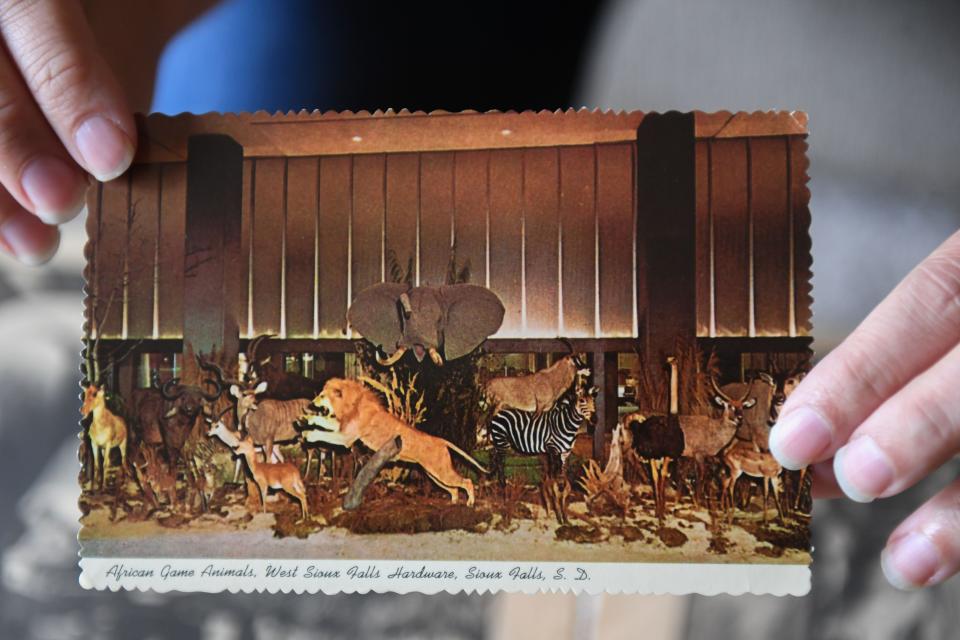 Henry Brockhouse's great granddaughter Kara Weber holds a photo of BrockhouseÕs taxidermy collection in Sioux Falls, South Dakota on Thursday, August 24, 2023.