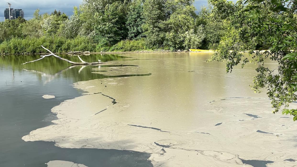 A view of the mouth of Mimico Creek at Humber Bay Park. Ontario's environment ministry says crews from a cleanup contractor, GFL Environment Inc., are out in four boats in Lake Ontario to clean up runoff from an industrial fire in Etobicoke. (Michael Cole/CBC - image credit)