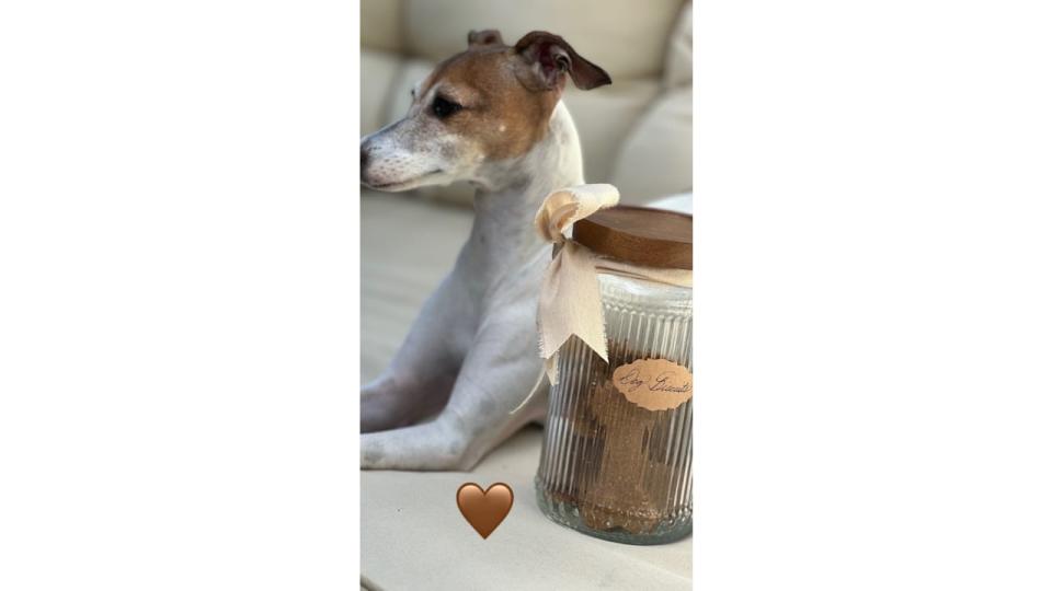 Meghan Markle's dog biscuits from American Riviera Orchard