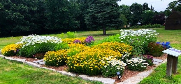 The Seaside Gardeners of Marshfield maintain this perennial garden at the Winslow House in Marshfield.