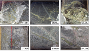 Core photographs from drill hole 18-ESP-025, which intersected 387m grading 0.57% copper and 0.27 g/t gold.  Mineralization was intersected at surface and is open at depth.  Photographs show intense potassic alteration; quartz-chalcopyrite vein stockwork, K-feldspar and secondary biotite.