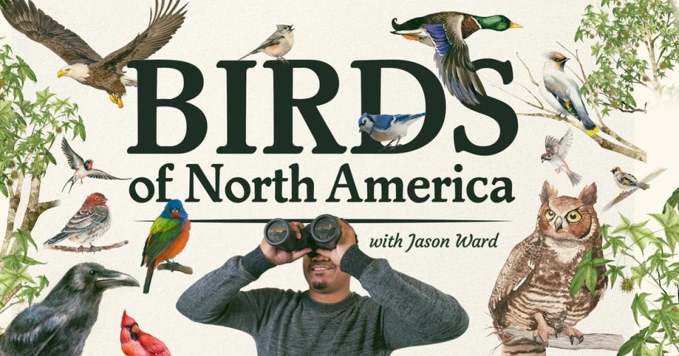 Birds of North America