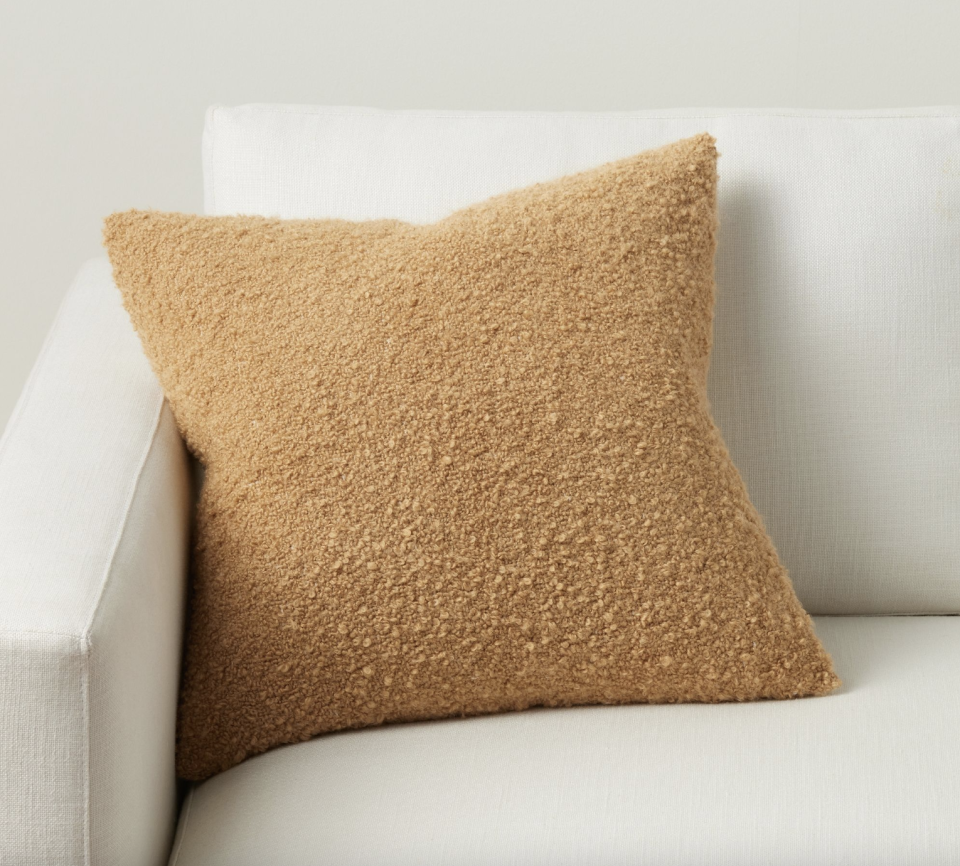 <p><a href="https://go.redirectingat.com?id=74968X1596630&url=https%3A%2F%2Fwww.westelm.com%2Fproducts%2Fcozy-boucle-pillow-cover-t6973&sref=https%3A%2F%2Fwww.goodhousekeeping.com%2Fhome-products%2Fg45758008%2Fbest-throw-pillows%2F" rel="nofollow noopener" target="_blank" data-ylk="slk:Shop Now;elm:context_link;itc:0;sec:content-canvas" class="link ">Shop Now</a></p><p>Boucle Pillow Cover</p><p>westelm.com</p><p>$49.00</p>