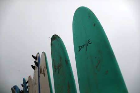 Doyle surfboards rest against a wall at a surf camp in Malibu