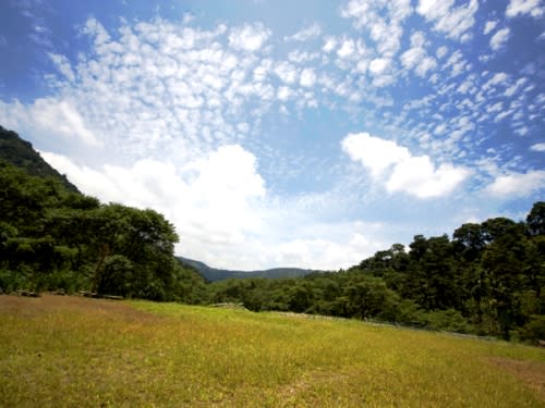 南投》埔里神秘新景點 露營烤肉戲水清涼一夏