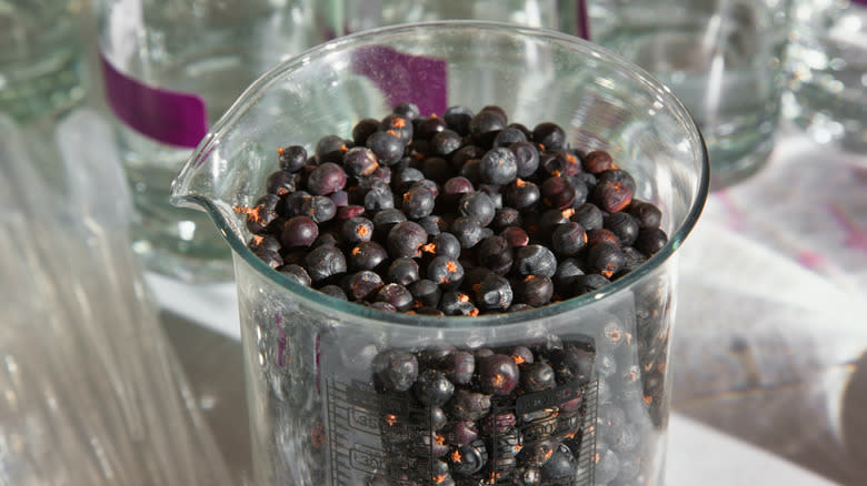 juniper berries in measuring flask