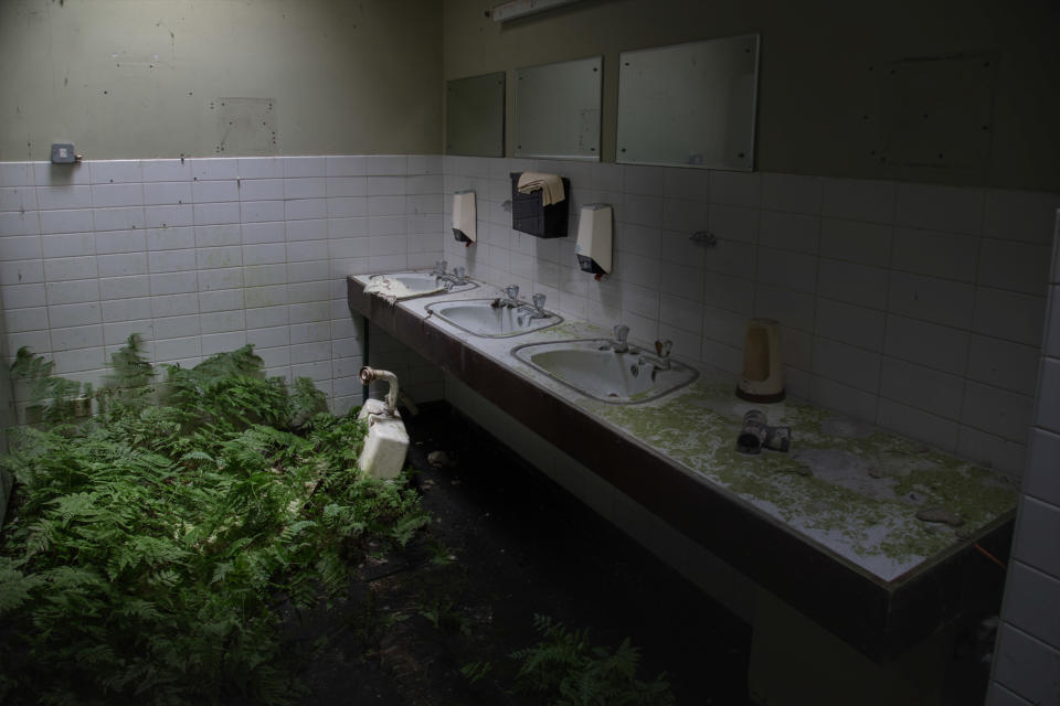Plants grow in an abandoned young offenders institute in Northern Ireland, March 12, 2018. (Photo: Unseen Decay/Mercury Press/Caters News)