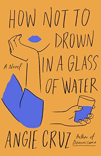 3) <i>How Not to Drown in a Glass of Water</i>, by Angie Cruz