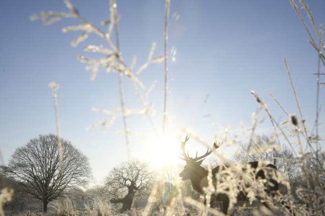 Is there a 'snowbomb' heading to UK for Christmas?