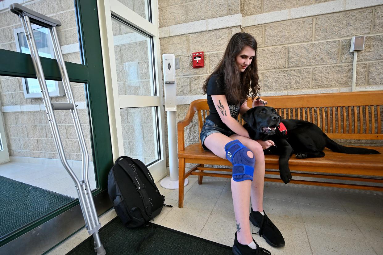 NEADS dog J.D. gets a pat from Tantasqua Regional Senior High School senior Alexis Buteau.