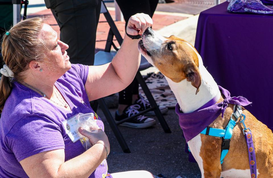 Gulf Coast Humane Society earned a nomination in the up & coming/grassroots category.