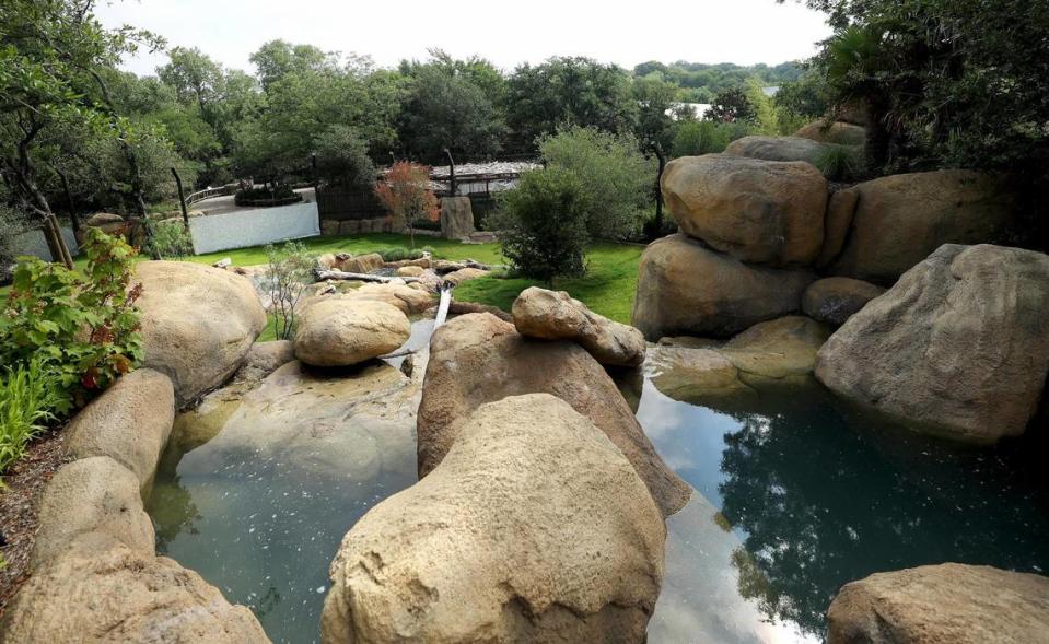 The lions’ habitat can be seen from above at the Fort Worth Zoo’s new exhibit Predators of Asia & Africa on Tuesday.