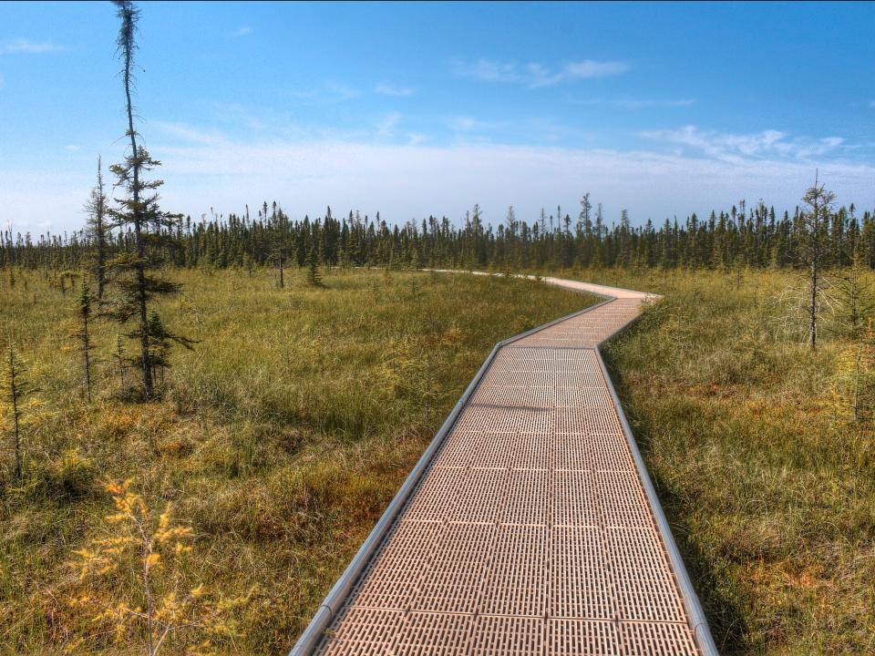 big bog state recreation area