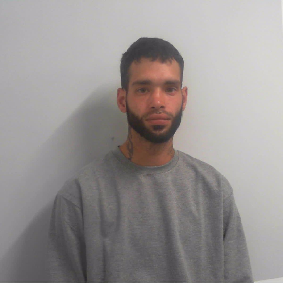 Daniel George Johnson has been jailed for two years and five months (North Yorkshire Police)