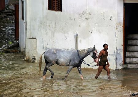 A man wades through water with a horse in a flooded residential colony in Allahabad, India August 23, 2016. REUTERS/Jitendra Prakash