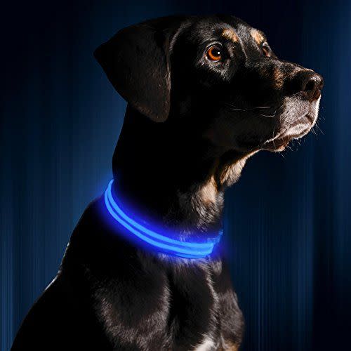 52) LED Dog Collar