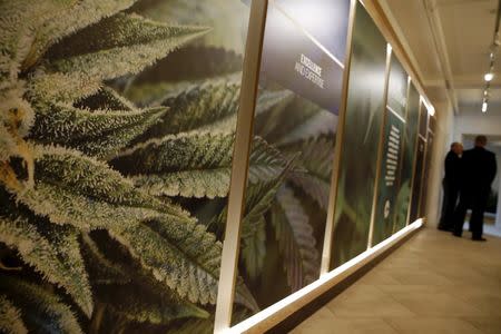 The inside of the Columbia Care medical marijuana dispensary is seen in New York January 7, 2016. REUTERS/Shannon Stapleton