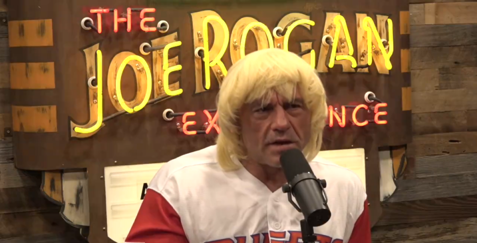 Joe Rogan dressed for Halloween on the show (Joe Rogan/X)