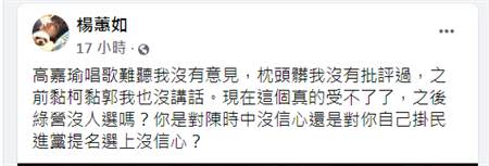 楊蕙如質疑高嘉瑜，是對陳時中沒信心，還是對自己掛民進黨提名選上沒信心？（圖／摘自楊蕙如臉書）