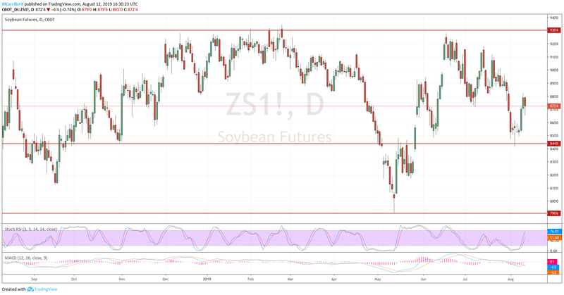 Prices of Soybean daily chart August 12